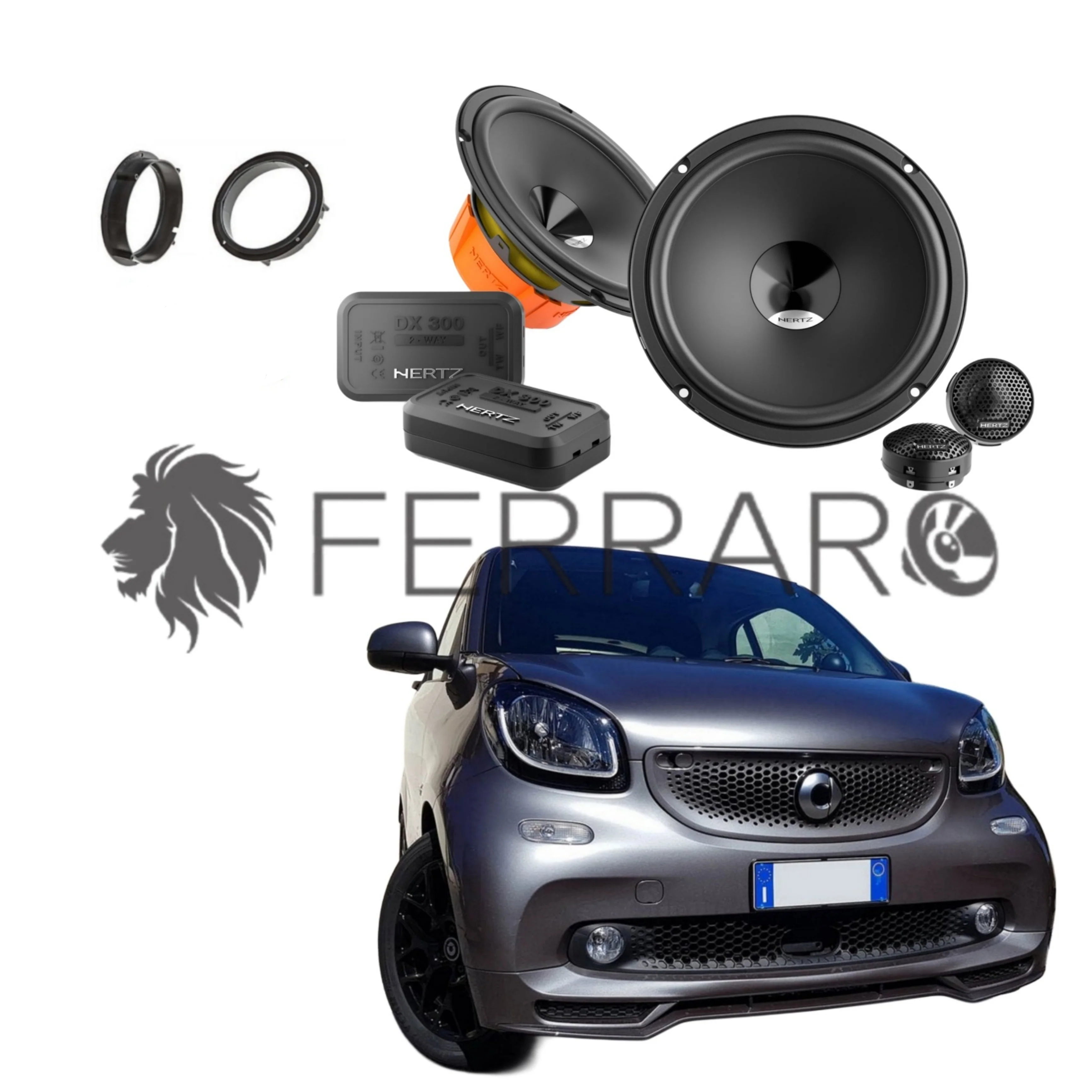 Miniatura 1